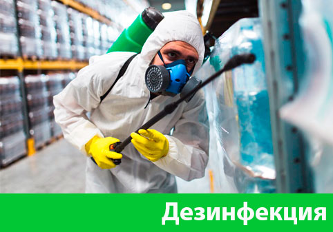Дезинфекция в городе Орёл