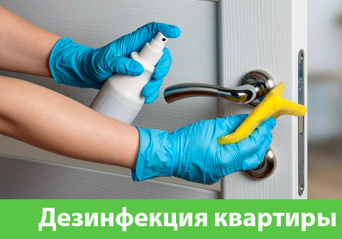 Дезинфекция квартиры в городе Орёл