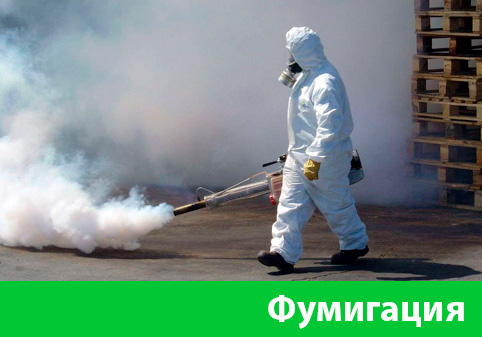 Фумигация в городе Орёл