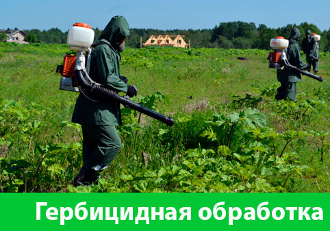 Гербицидная обработка в городе Орёл