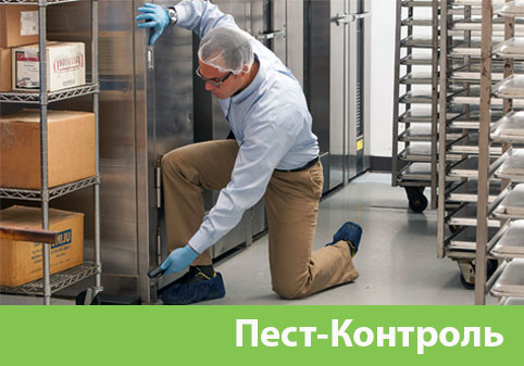 Точка пест контроля картинка