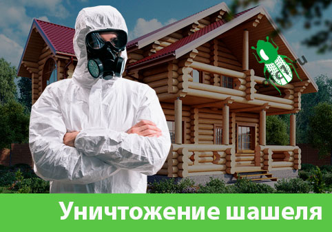 Уничтожение шашеля и личинок в Орле
