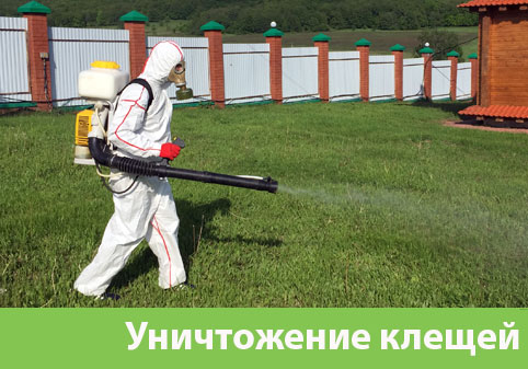 Уничтожение клещей в городе Орёл