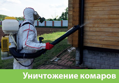 Уничтожение комаров в городе Орёл